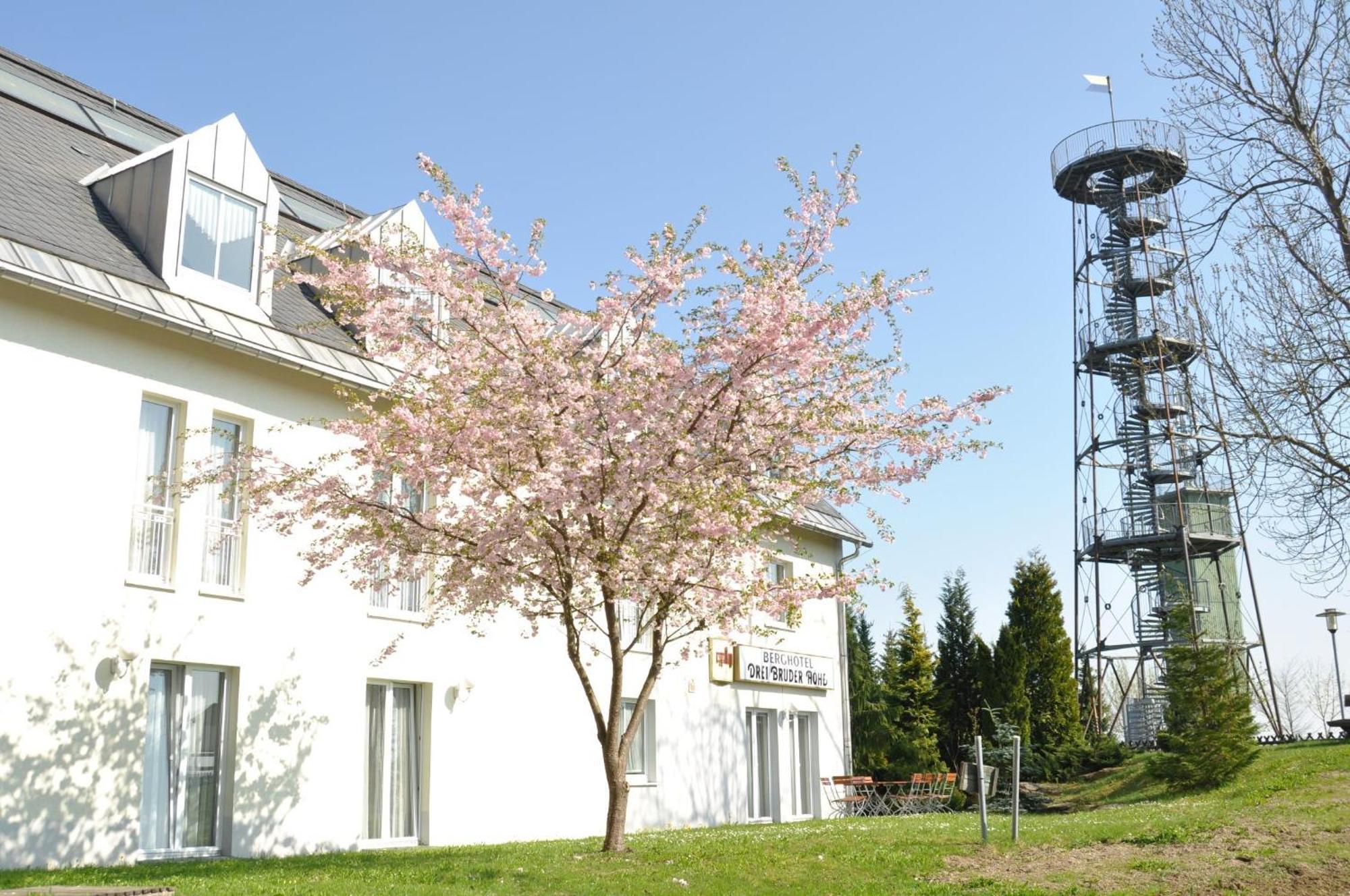 Berghotel Drei Brueder Hoehe Marienberg Kültér fotó